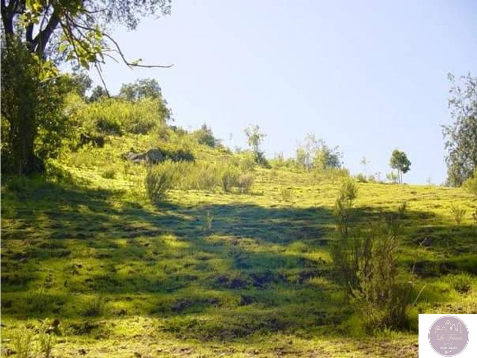 Terreno en venta en Olmué — foto 1