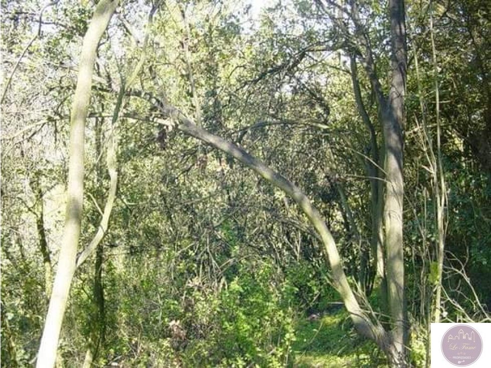 Terreno en venta en Olmué — foto 6