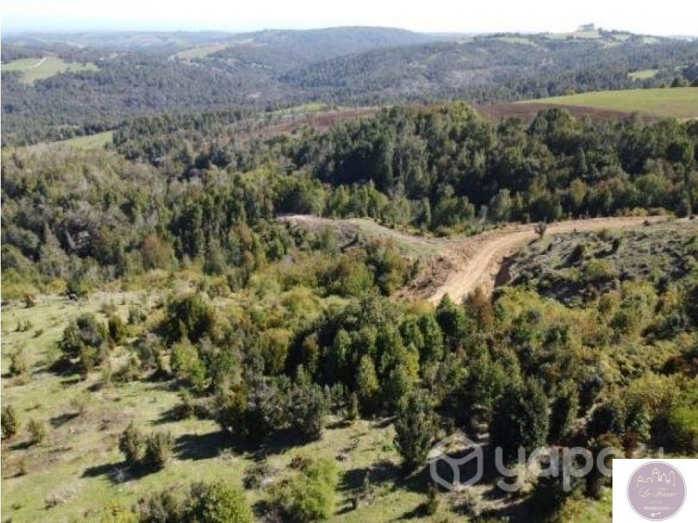 Terreno en venta en Los Muermos — foto 2