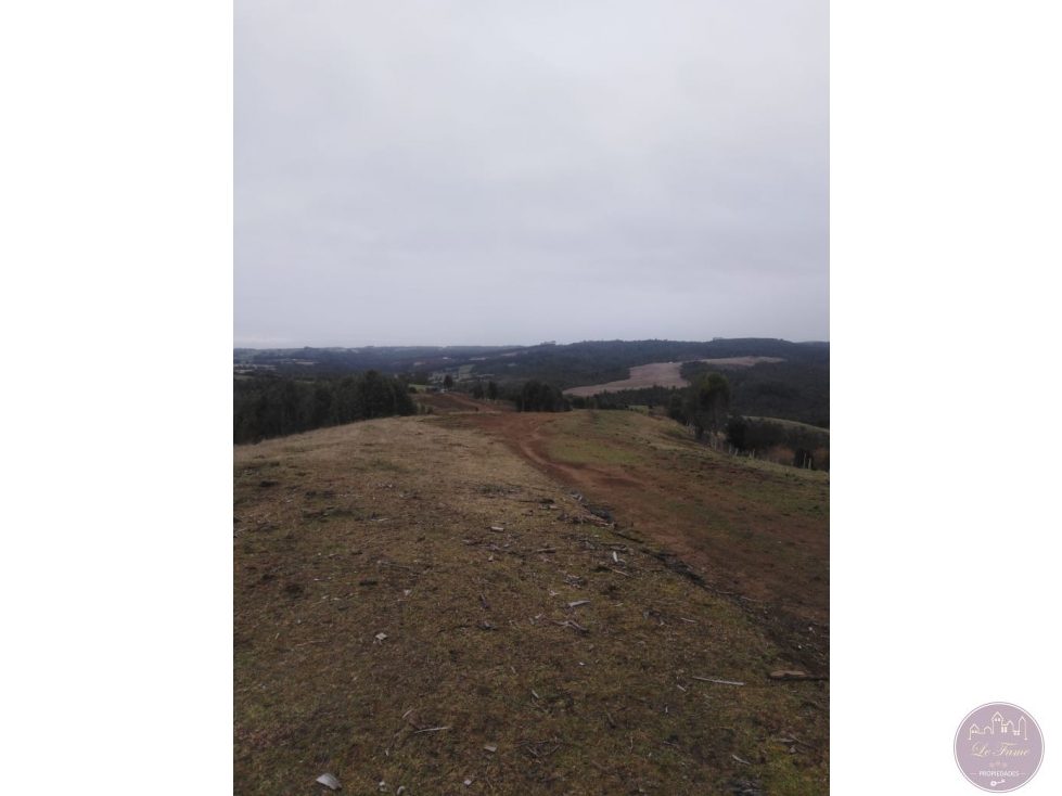 Terreno en venta en Los Muermos — foto 3