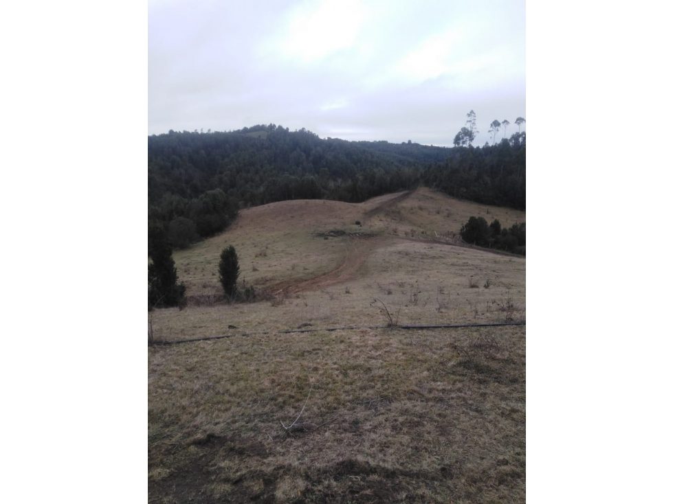 Terreno en venta en Los Muermos — foto 4