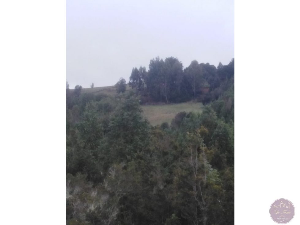 Terreno en venta en Los Muermos — foto 5