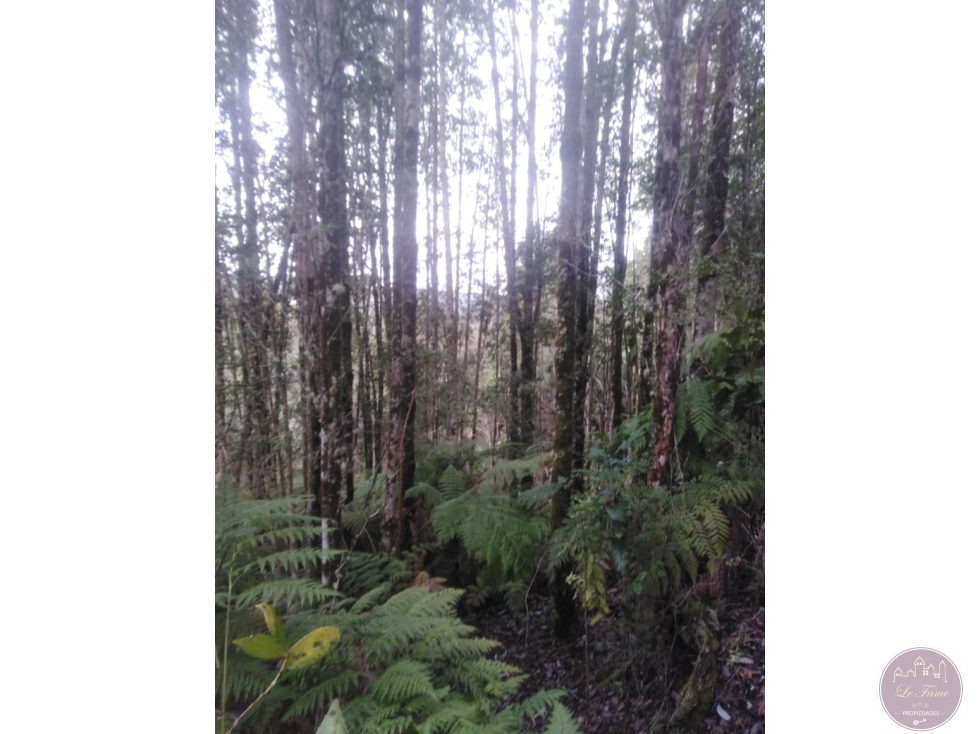 Terreno en venta en Los Muermos — foto 6