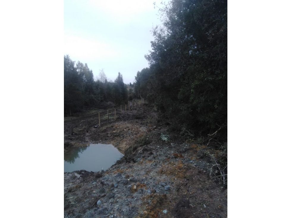 Terreno en venta en Los Muermos — foto 7