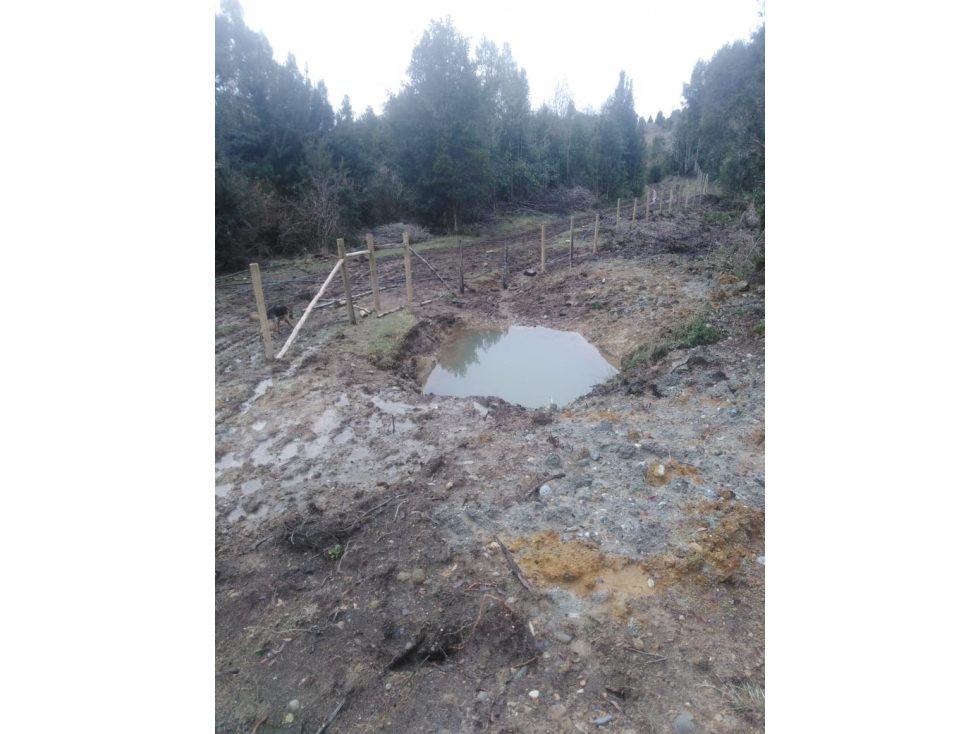 Terreno en venta en Los Muermos — foto 8