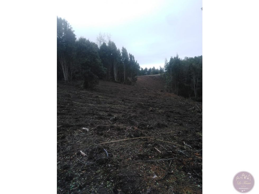 Terreno en venta en Los Muermos — foto 9