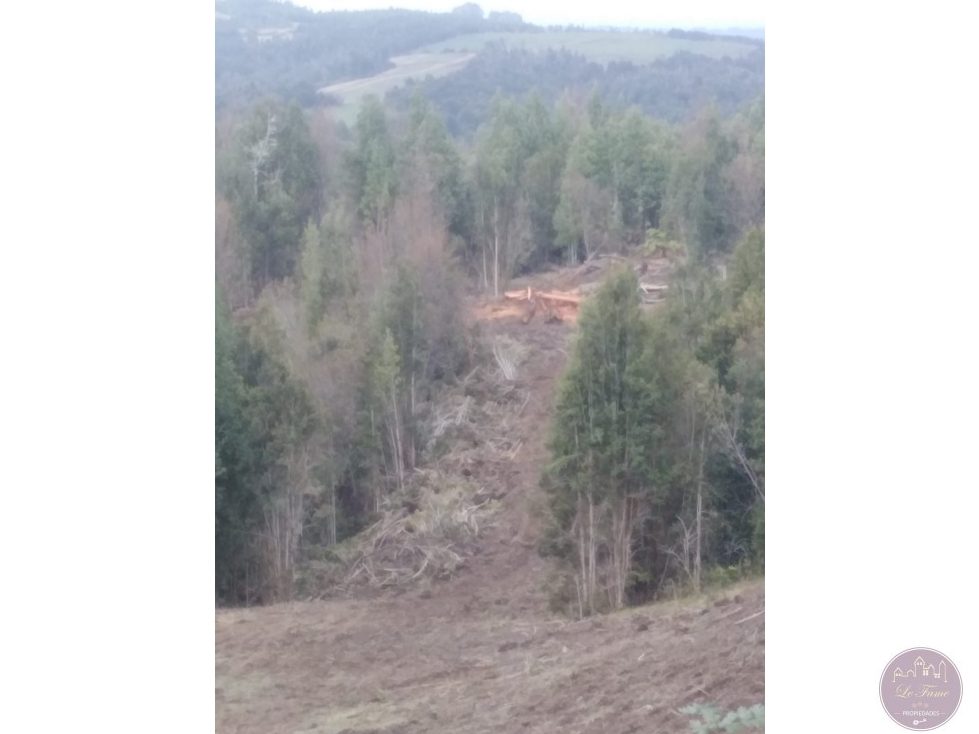 Terreno en venta en Los Muermos — foto 10