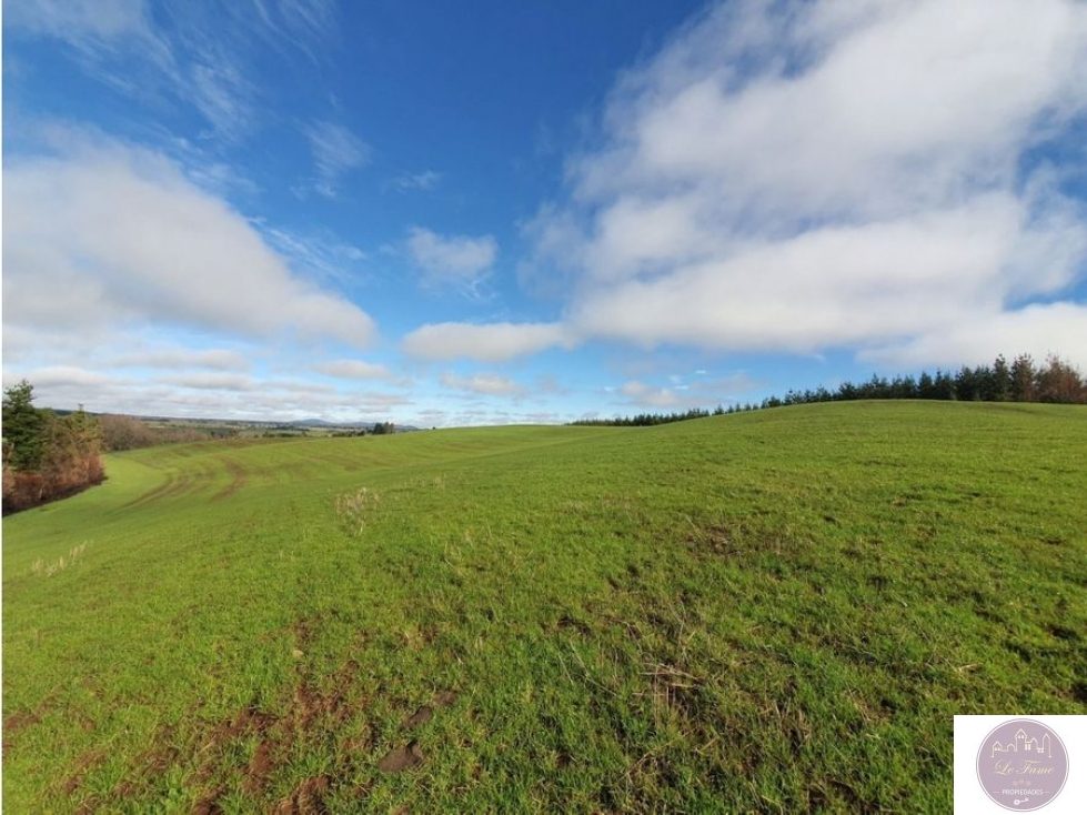 Campo en venta en Traiguén — foto 1