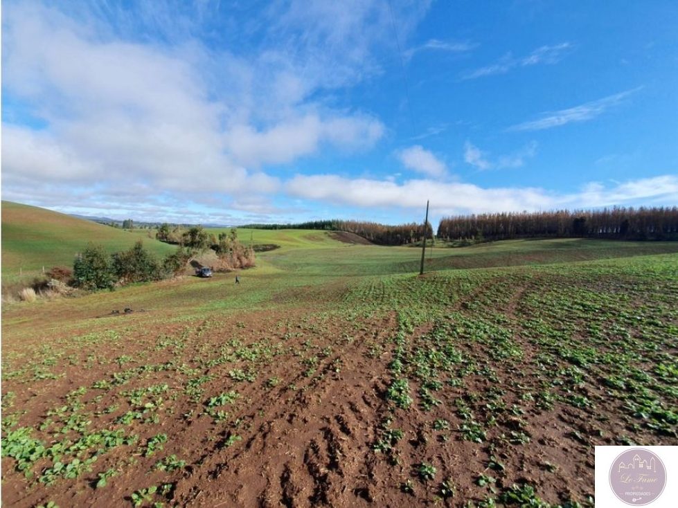 Campo en venta en Traiguén — foto 2