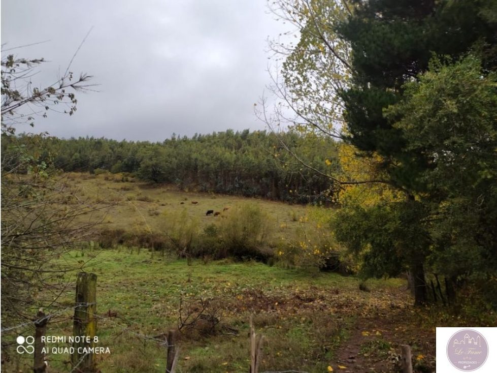 Campo en venta en Traiguén — foto 3