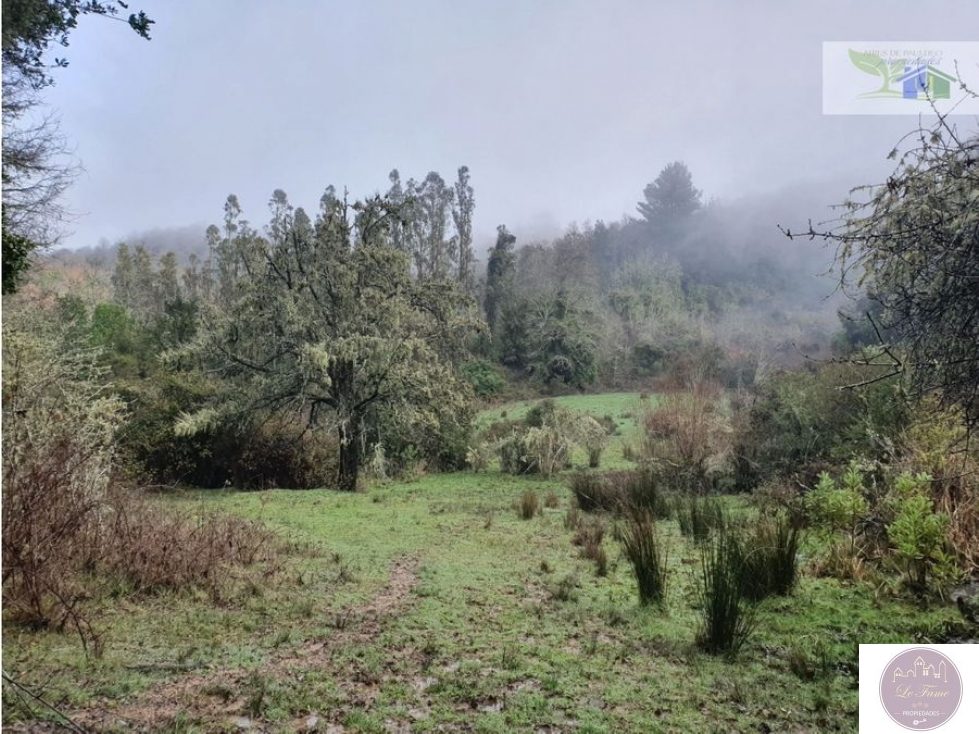 Campo en venta en Traiguén — foto 4