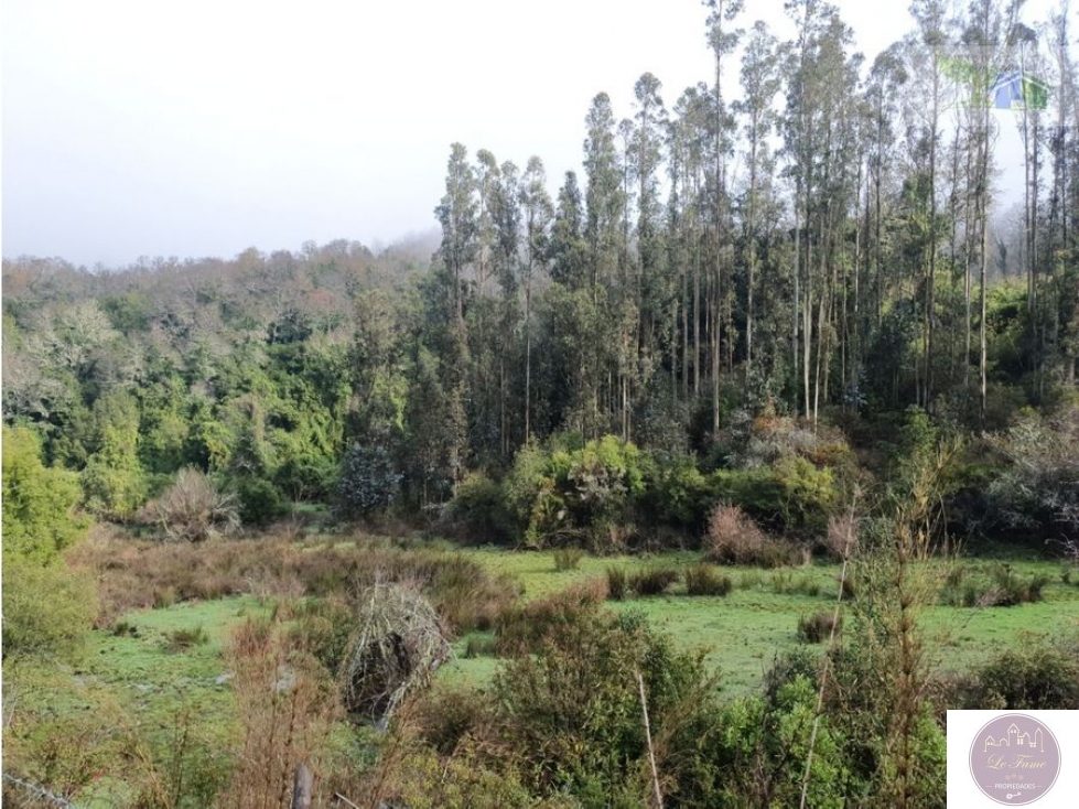 Campo en venta en Traiguén — foto 7