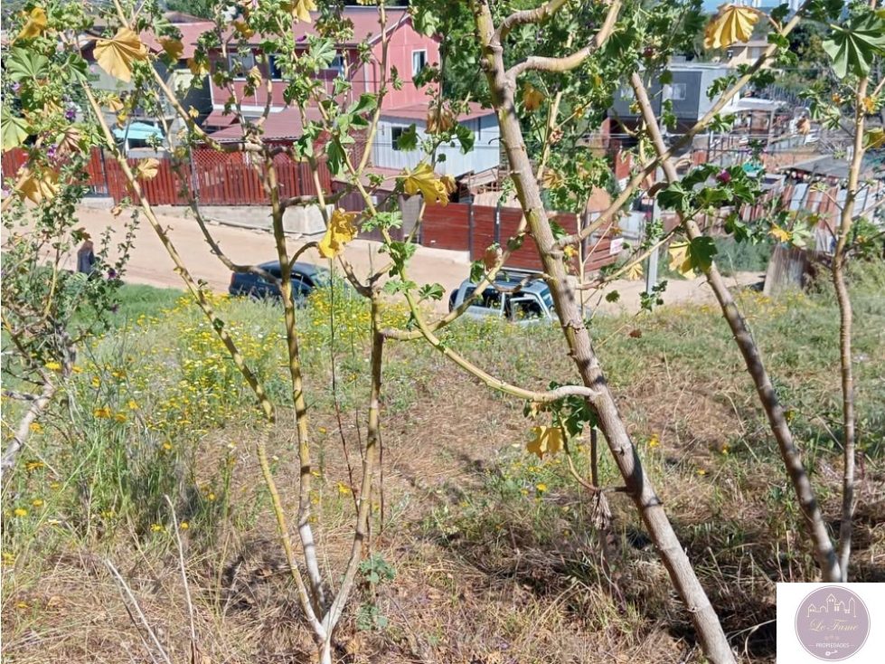 Terreno en venta en Viña del Mar — foto 5