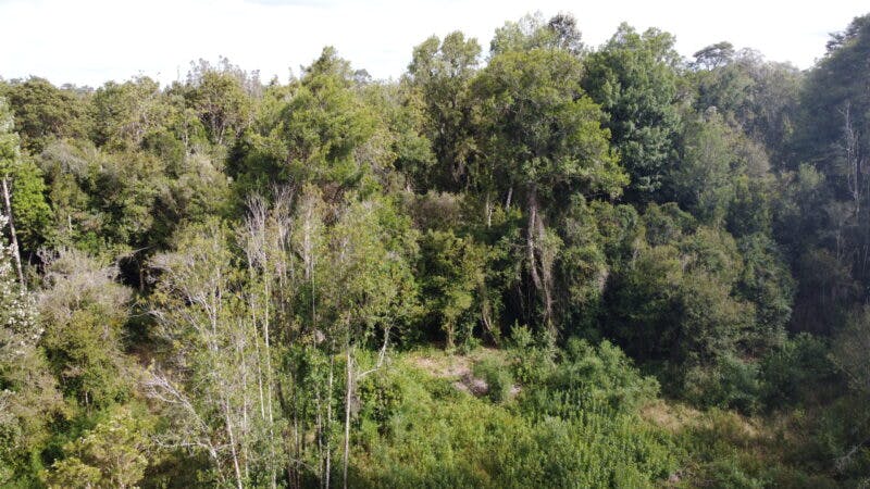 Parcela en venta en Puerto Varas — foto 3