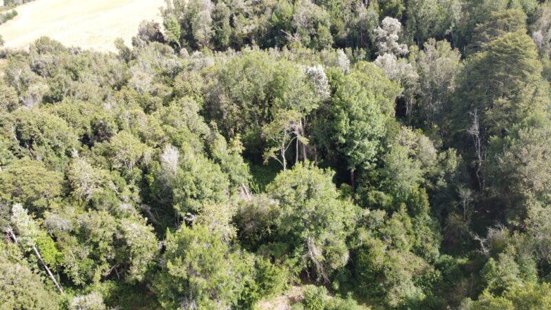 Parcela en venta en Puerto Varas — foto 5
