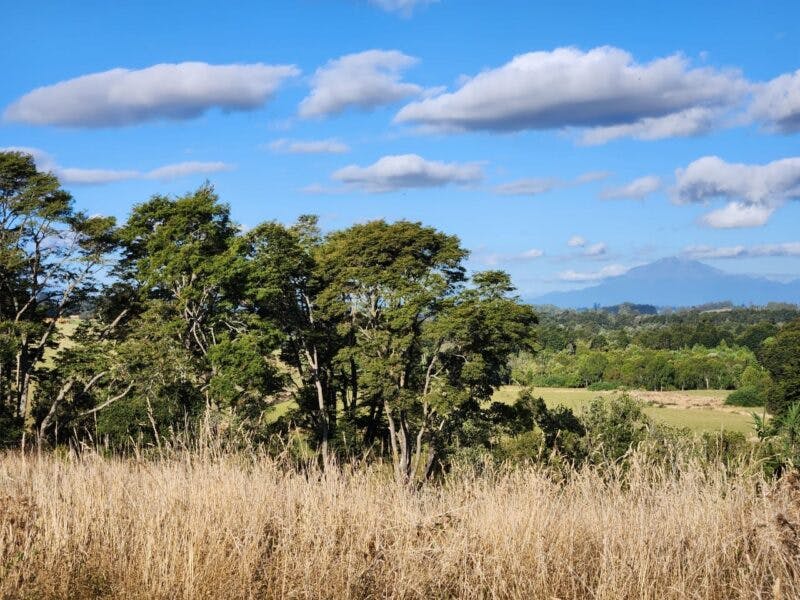 Parcela en venta en Llanquihue — foto 1