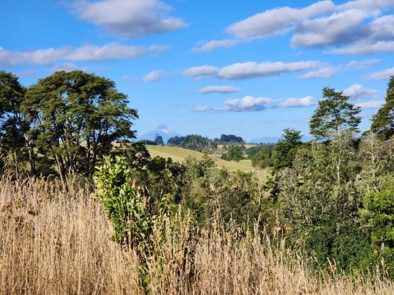 Parcela en venta en Llanquihue — foto 4