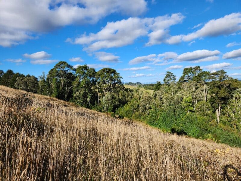 Parcela en venta en Llanquihue — foto 5