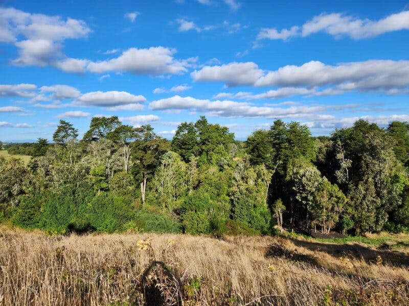 Parcela en venta en Llanquihue — foto 6
