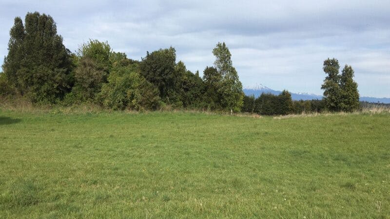 Parcela en venta en Llanquihue — foto 1