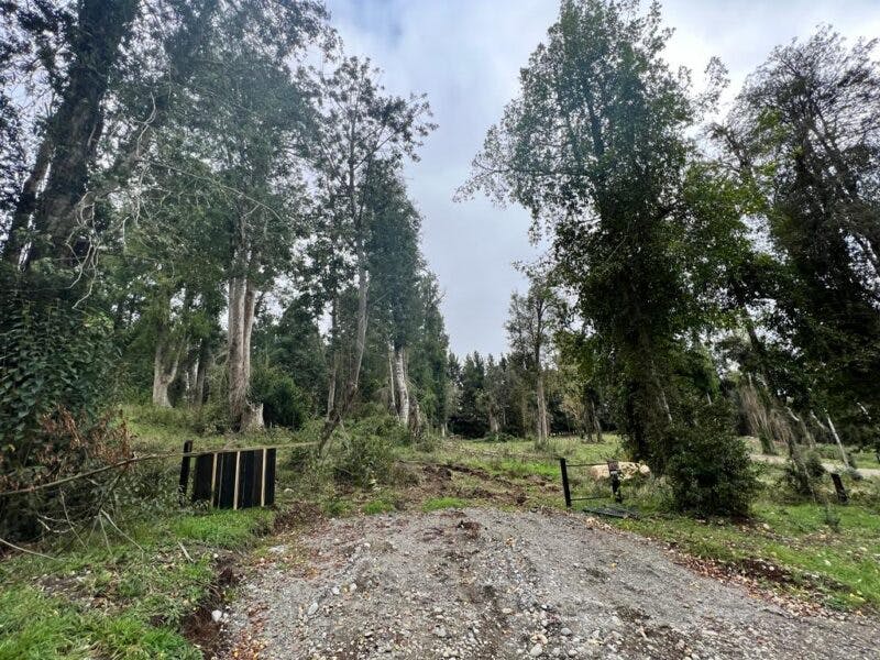 Parcela en venta en Frutillar — foto 1