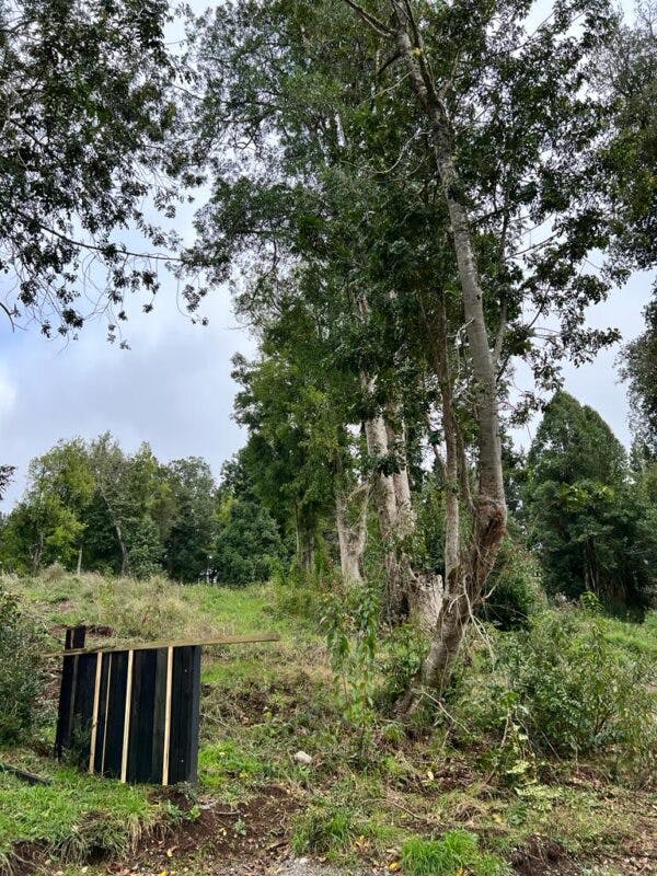Parcela en venta en Frutillar — foto 2