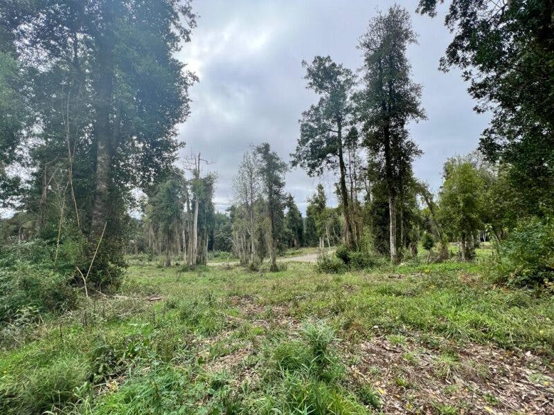 Parcela en venta en Frutillar — foto 3