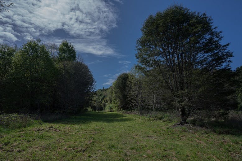 Parcela en venta en Puerto Varas — foto 3