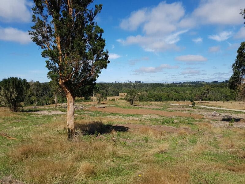 Parcela en venta en Llanquihue — foto 1