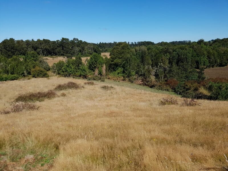 Parcela en venta en Llanquihue — foto 2