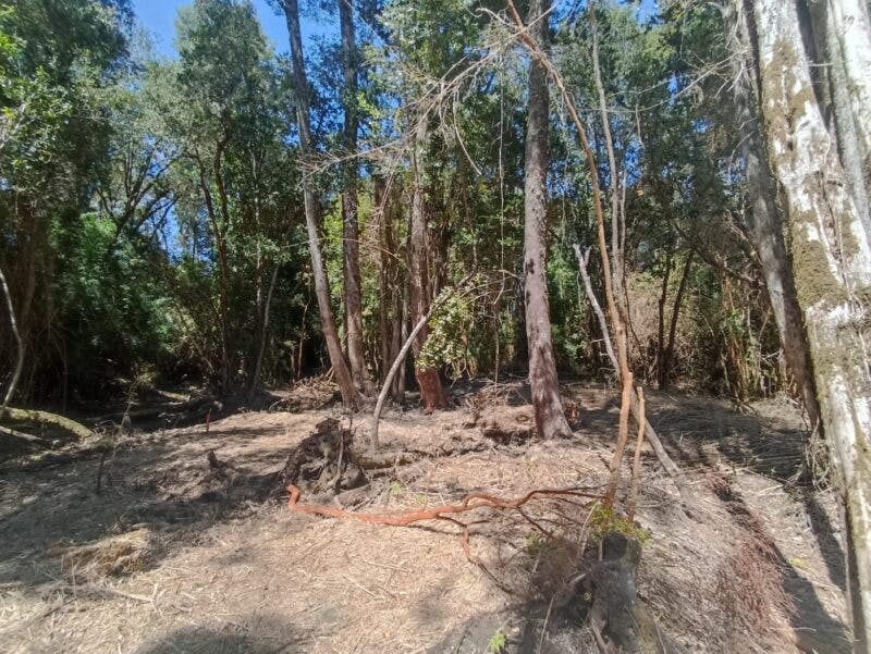 Parcela en venta en Llanquihue — foto 9