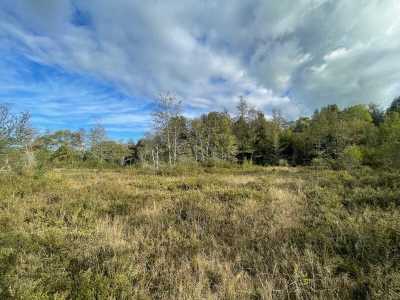Parcela en venta en Frutillar — foto 1