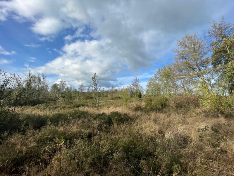 Parcela en venta en Frutillar — foto 2