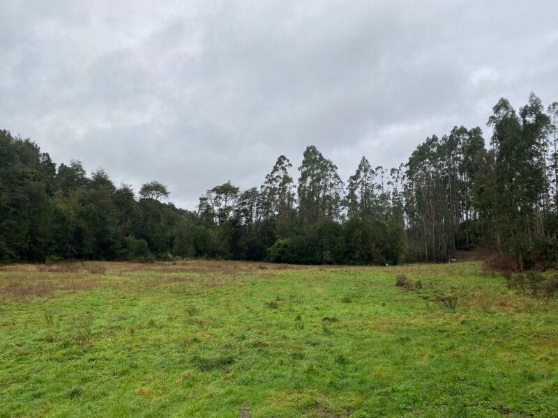 Parcela en venta en Puerto Varas — foto 5