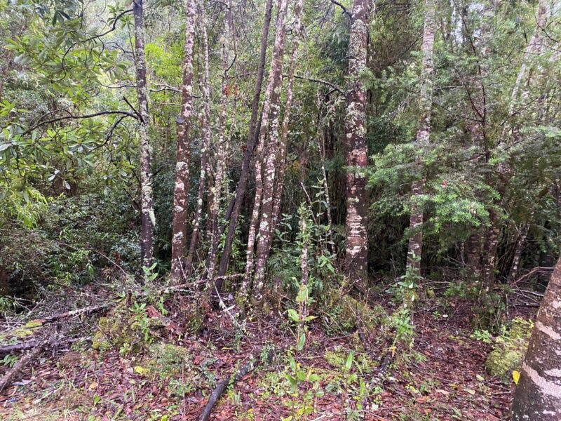 Parcela en venta en Puerto Varas — foto 7