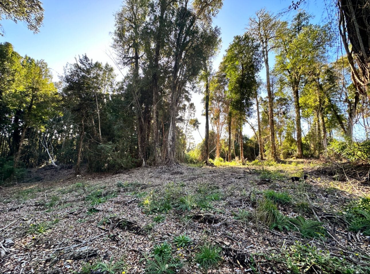 Parcela en venta en Puerto Varas — foto 5