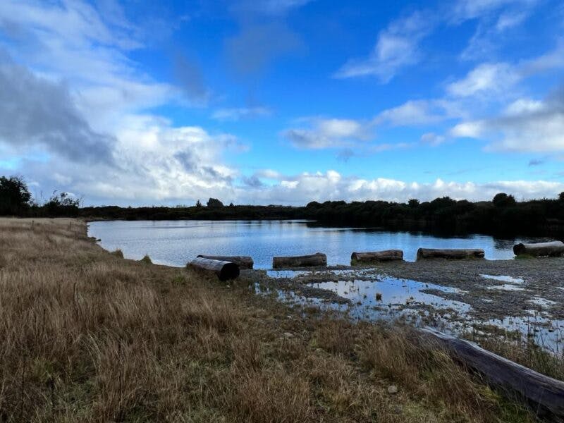 Parcela en venta en Puerto Varas — foto 9