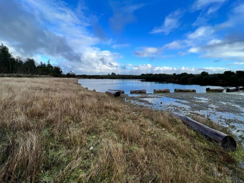 Parcela en venta en Puerto Varas — foto 10