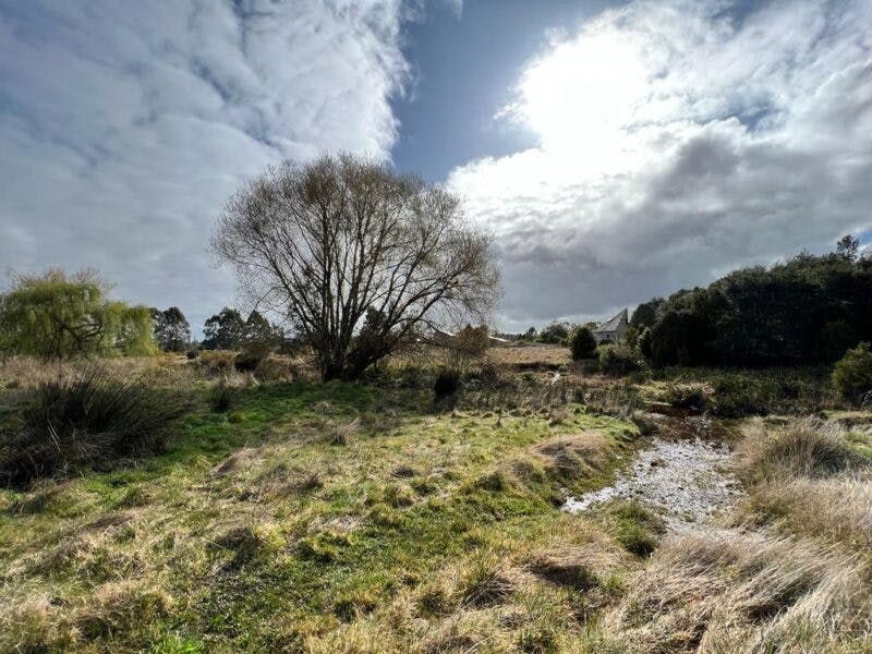 Campo en venta en Maullín — foto 2
