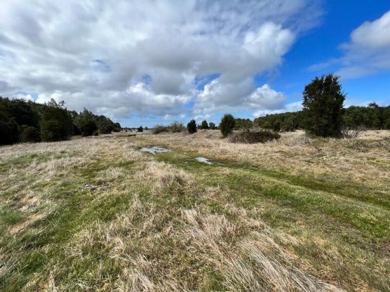 Campo en venta en Maullín — foto 4
