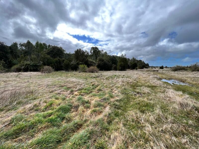 Campo en venta en Maullín — foto 6
