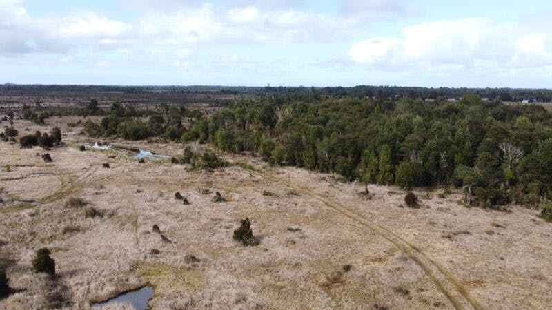Campo en venta en Maullín — foto 9
