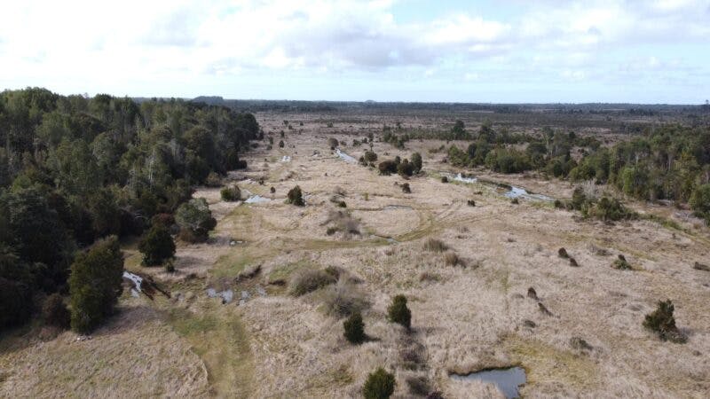 Campo en venta en Maullín — foto 10