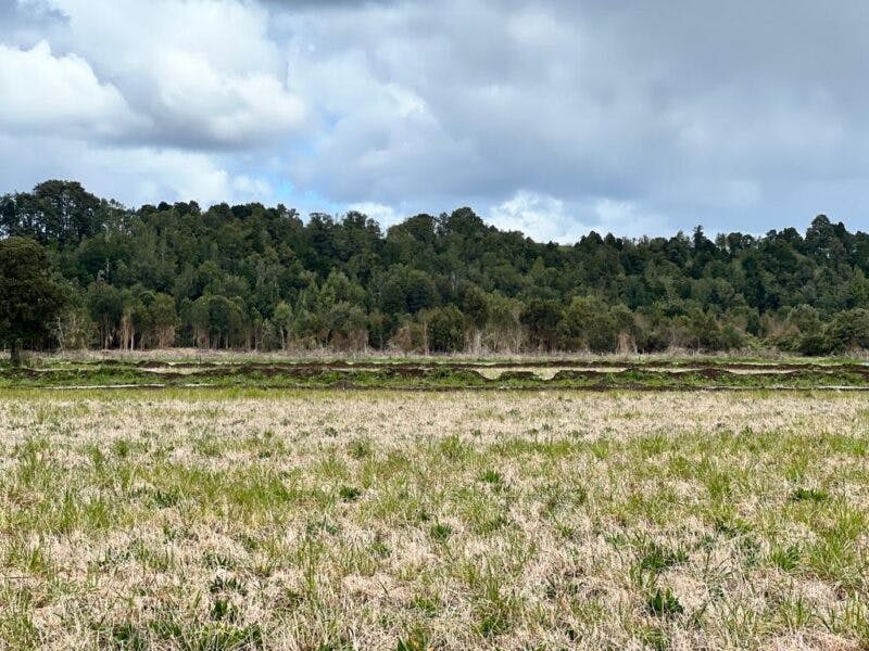 Parcela en venta en Puerto Varas — foto 8