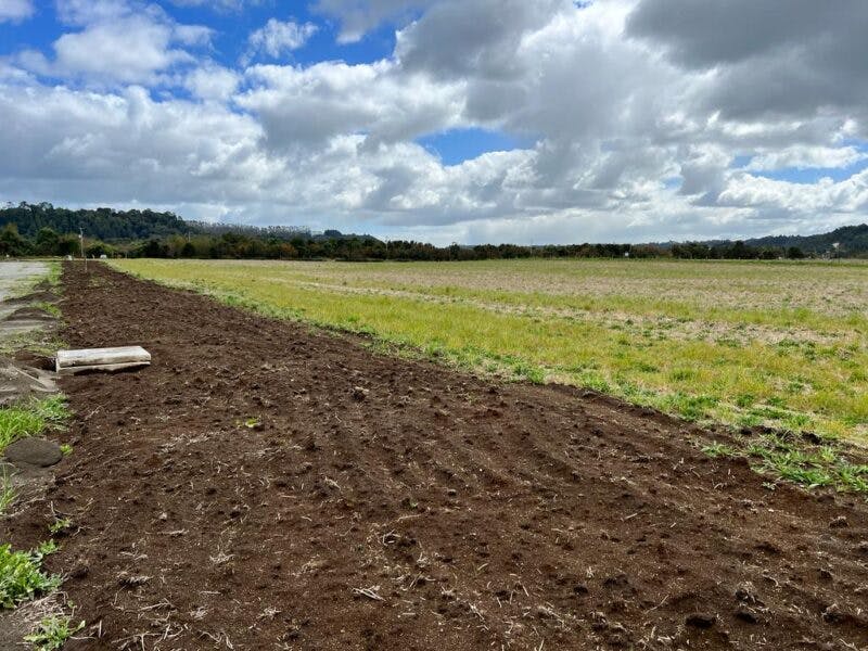 Parcela en venta en Puerto Varas — foto 10