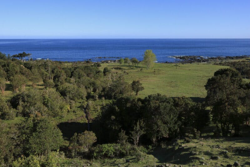 Parcela en venta en Valdivia — foto 1