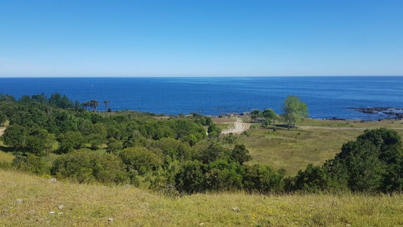 Parcela en venta en Valdivia — foto 2