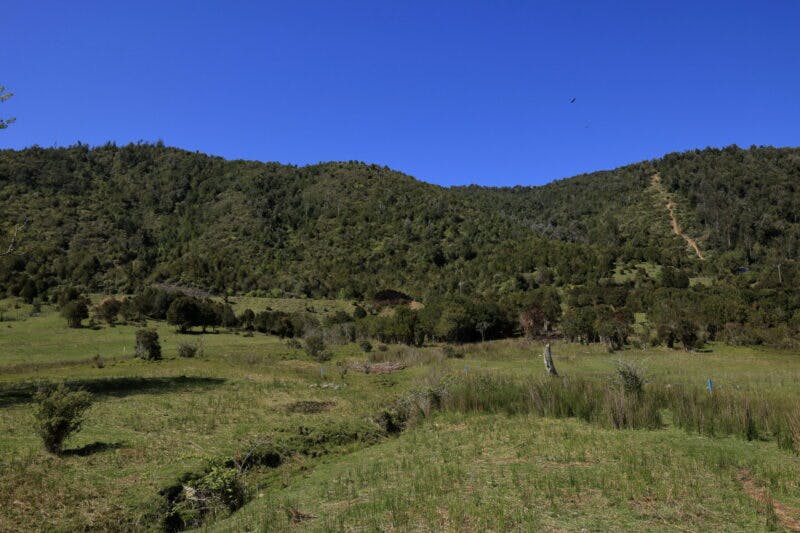 Parcela en venta en Valdivia — foto 8