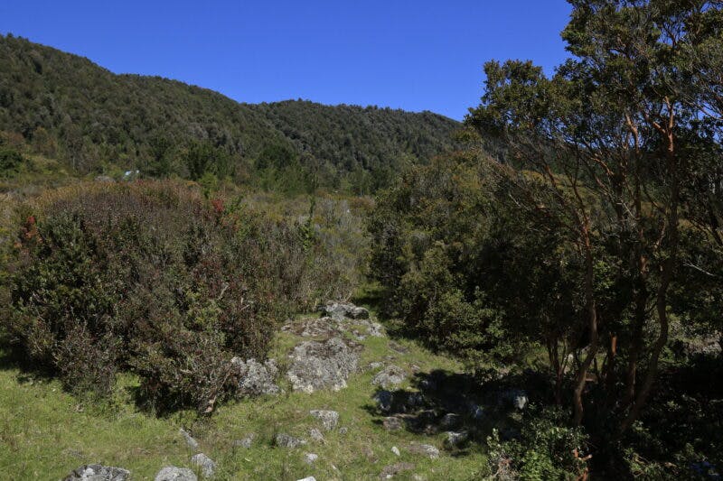 Parcela en venta en Valdivia — foto 9
