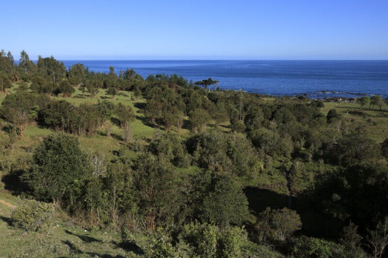 Parcela en venta en Valdivia — foto 10